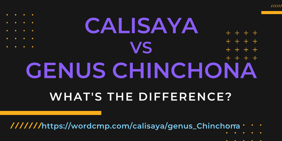 Difference between calisaya and genus Chinchona