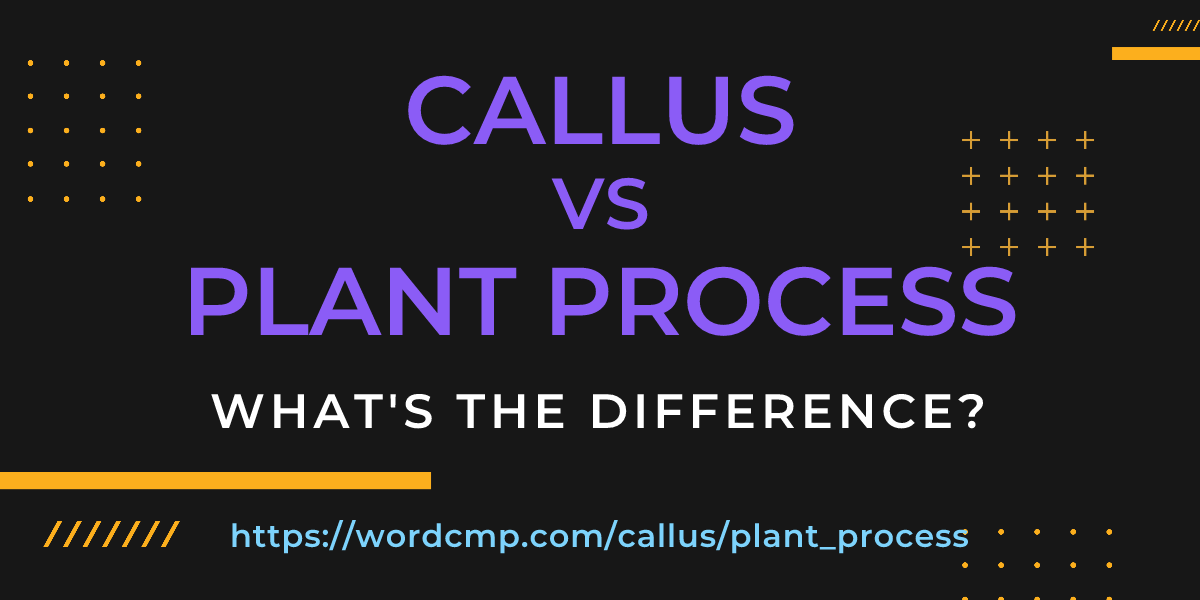 Difference between callus and plant process
