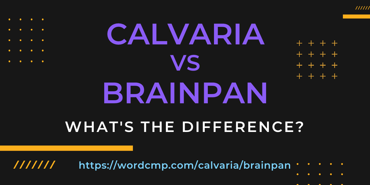 Difference between calvaria and brainpan