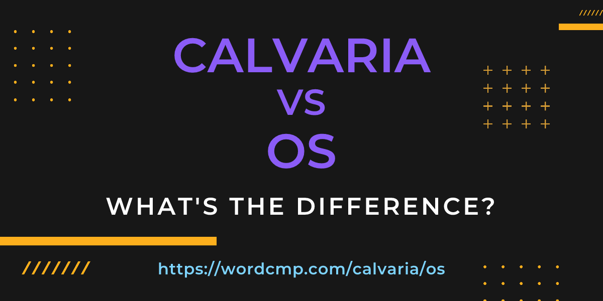 Difference between calvaria and os