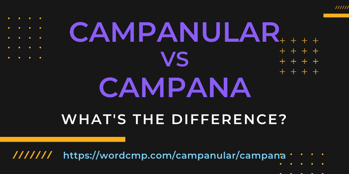 Difference between campanular and campana