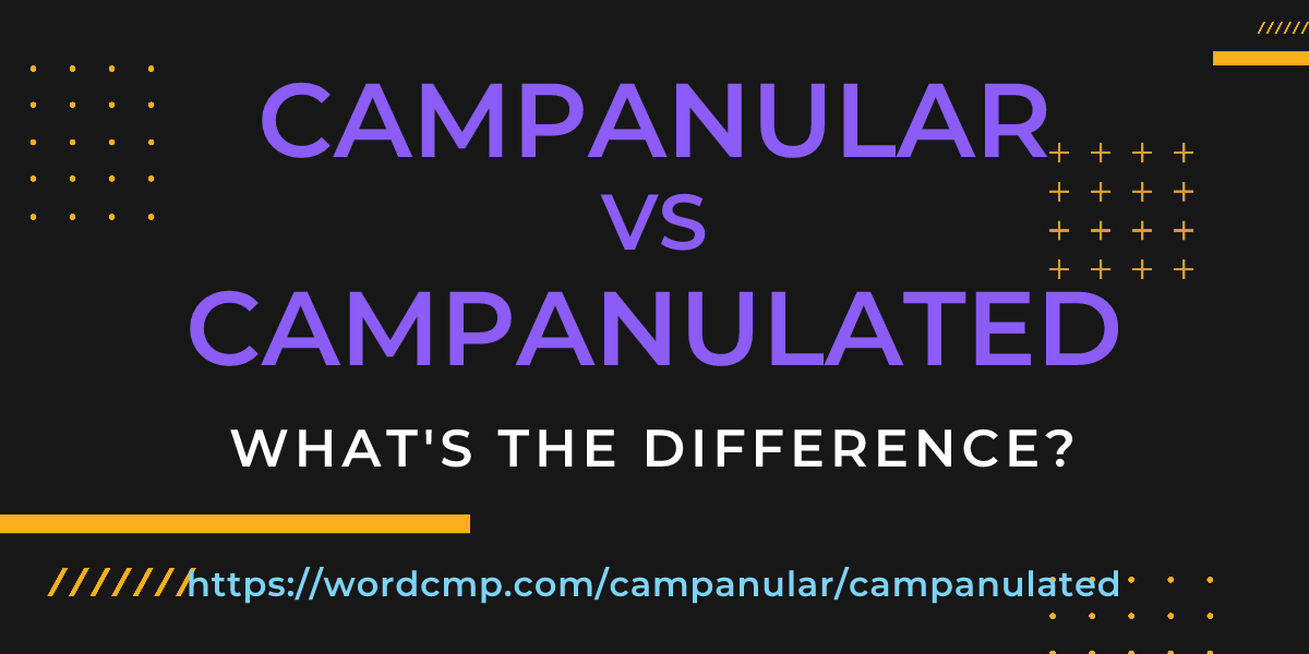 Difference between campanular and campanulated