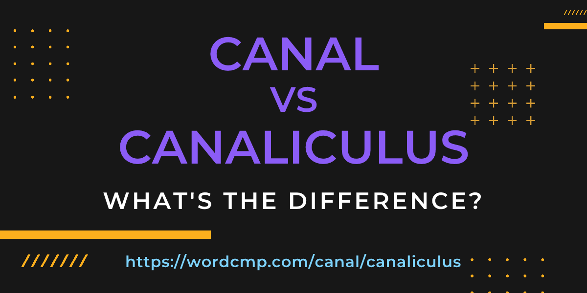 Difference between canal and canaliculus
