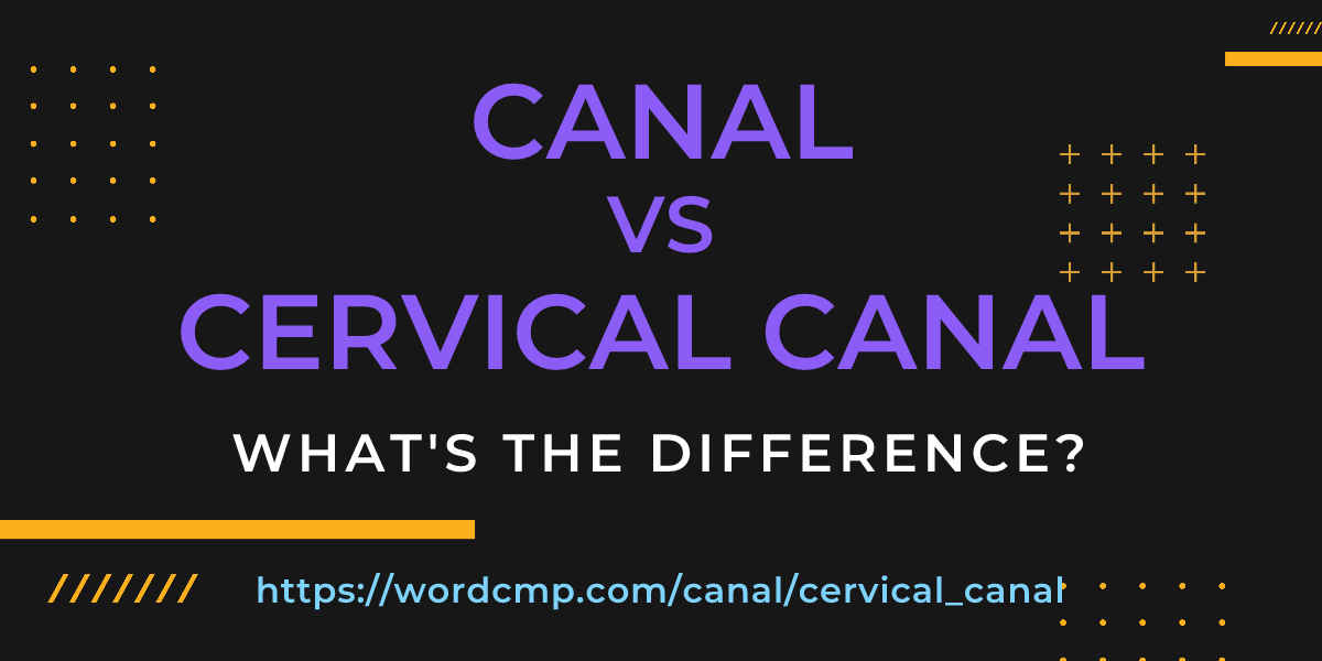 Difference between canal and cervical canal