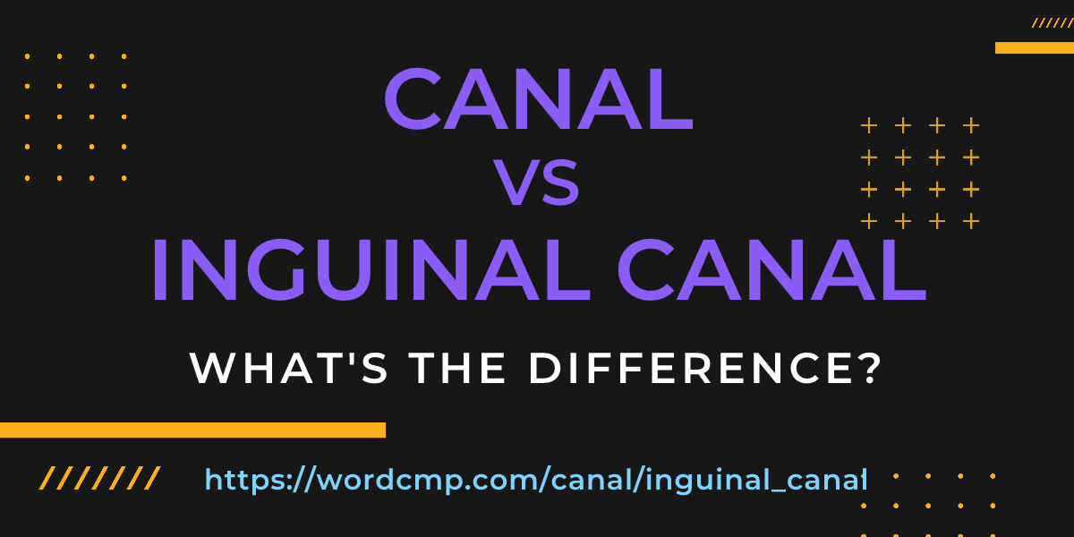Difference between canal and inguinal canal
