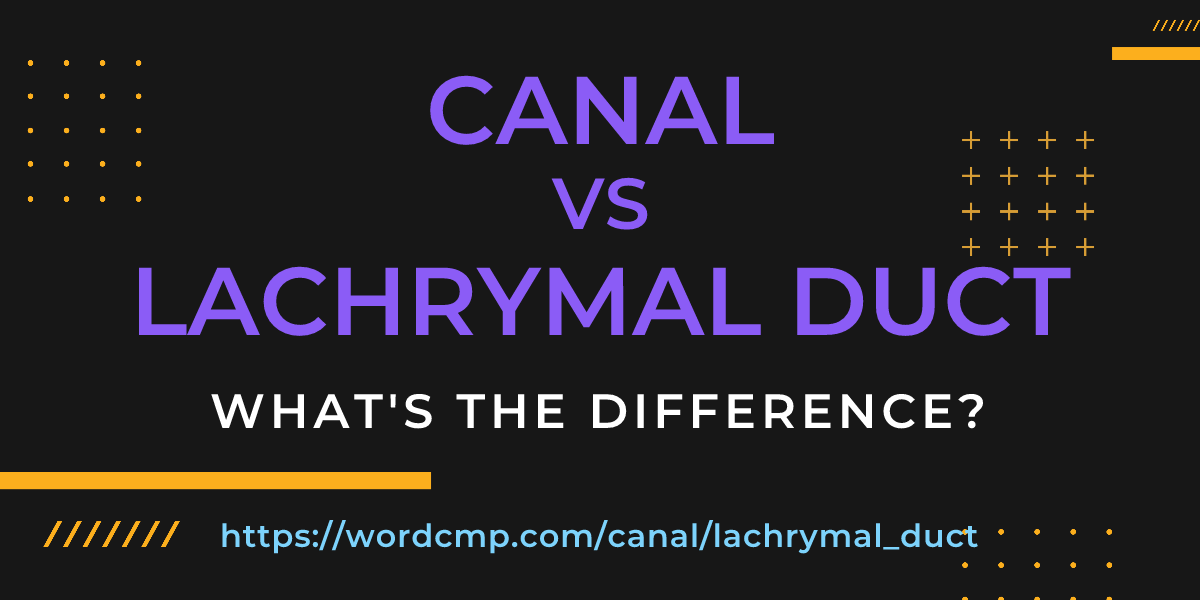 Difference between canal and lachrymal duct