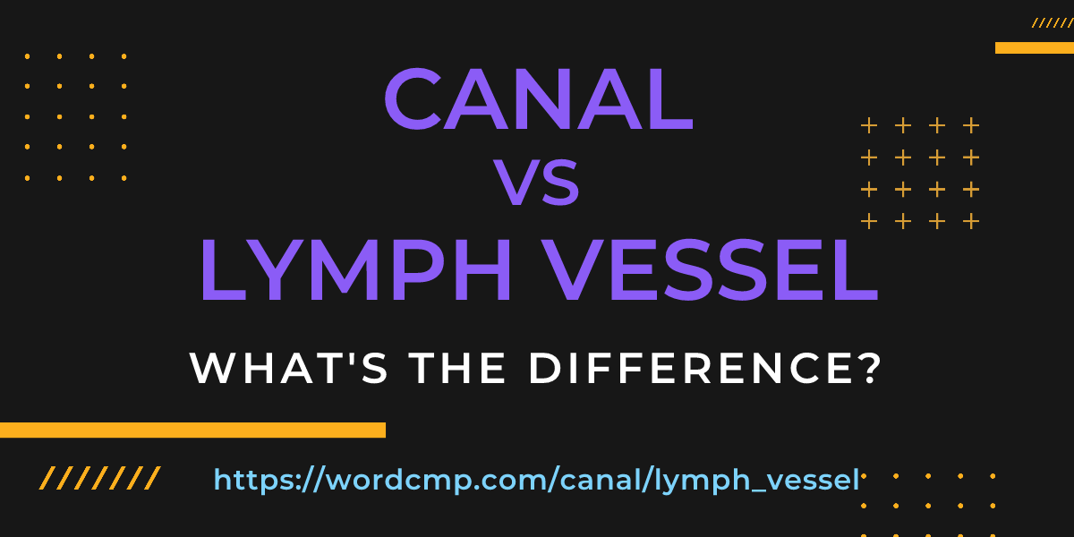 Difference between canal and lymph vessel