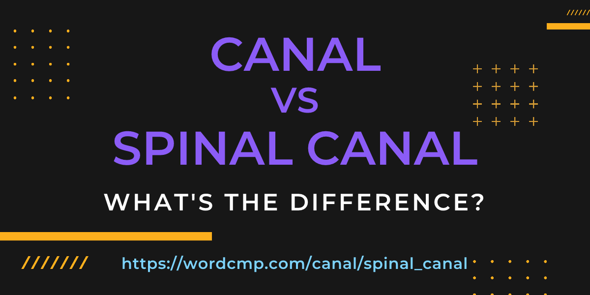Difference between canal and spinal canal
