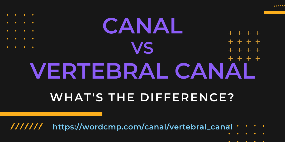 Difference between canal and vertebral canal