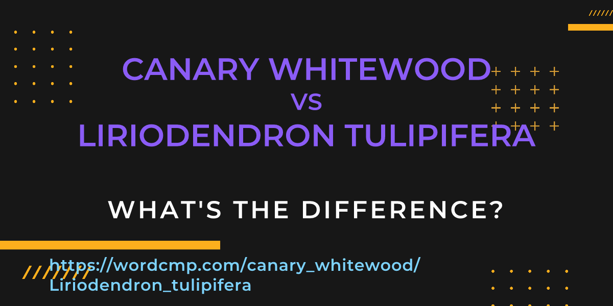 Difference between canary whitewood and Liriodendron tulipifera