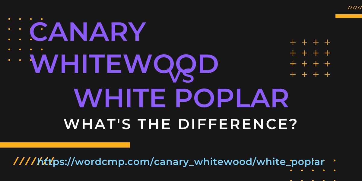 Difference between canary whitewood and white poplar