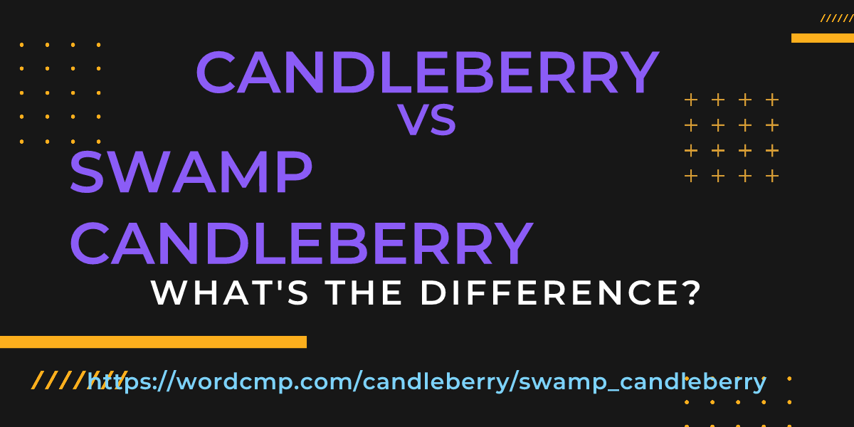 Difference between candleberry and swamp candleberry