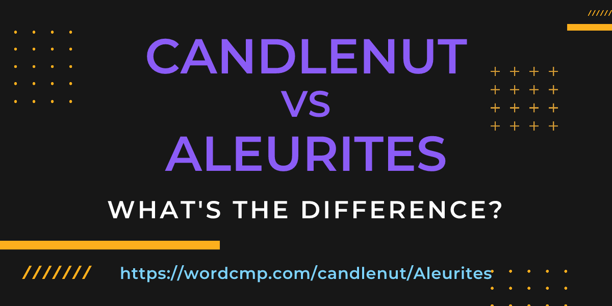 Difference between candlenut and Aleurites