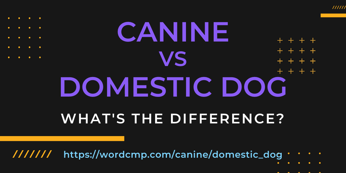 Difference between canine and domestic dog