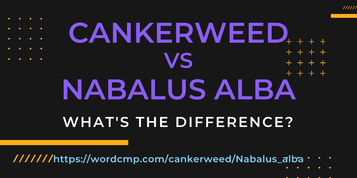 Difference between cankerweed and Nabalus alba
