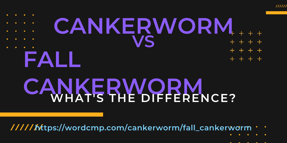 Difference between cankerworm and fall cankerworm