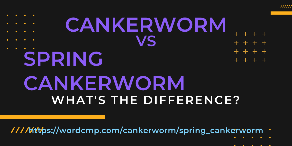 Difference between cankerworm and spring cankerworm