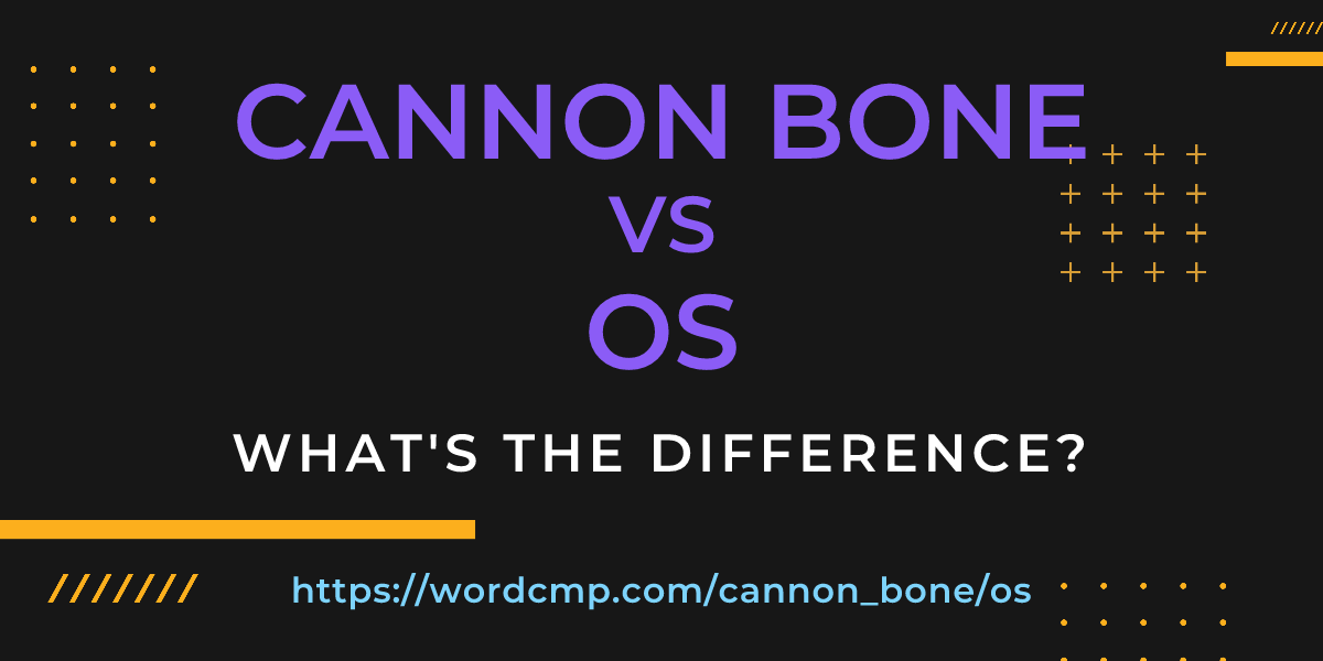 Difference between cannon bone and os