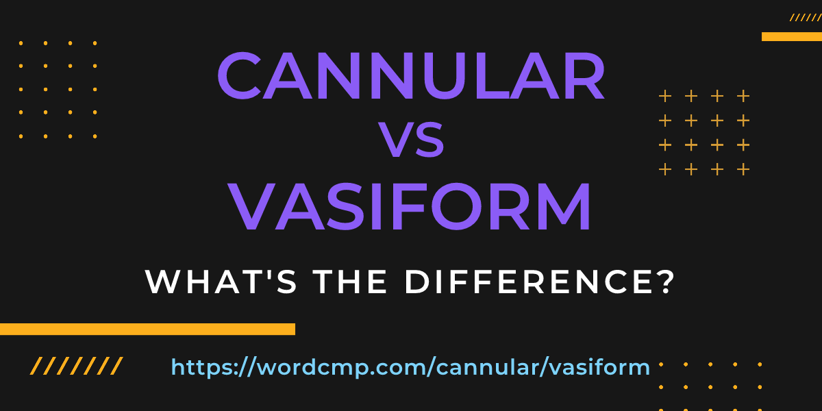 Difference between cannular and vasiform