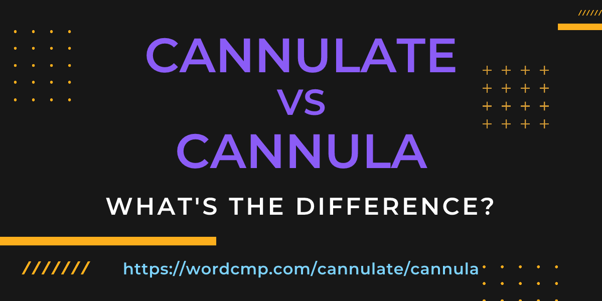 Difference between cannulate and cannula