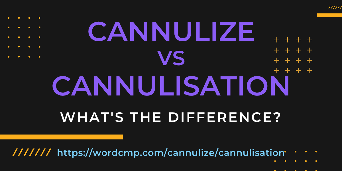 Difference between cannulize and cannulisation
