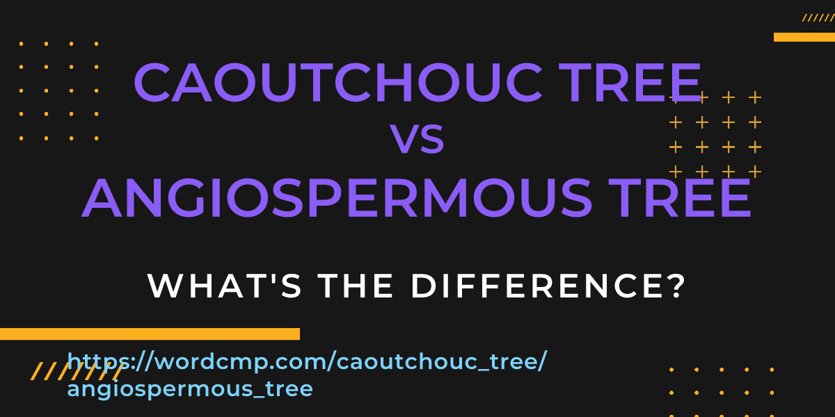 Difference between caoutchouc tree and angiospermous tree