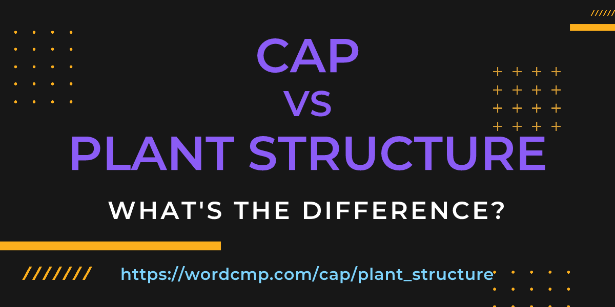 Difference between cap and plant structure