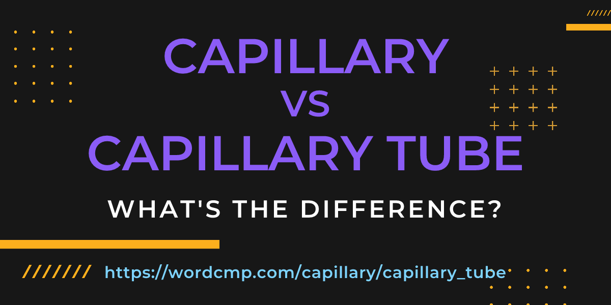 Difference between capillary and capillary tube