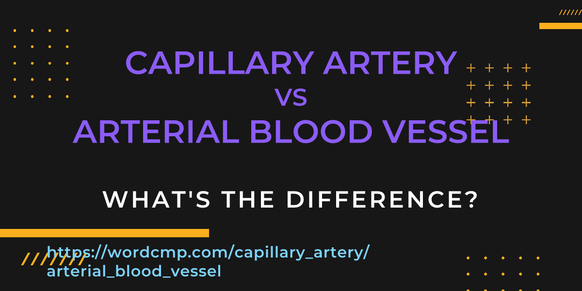 Difference between capillary artery and arterial blood vessel