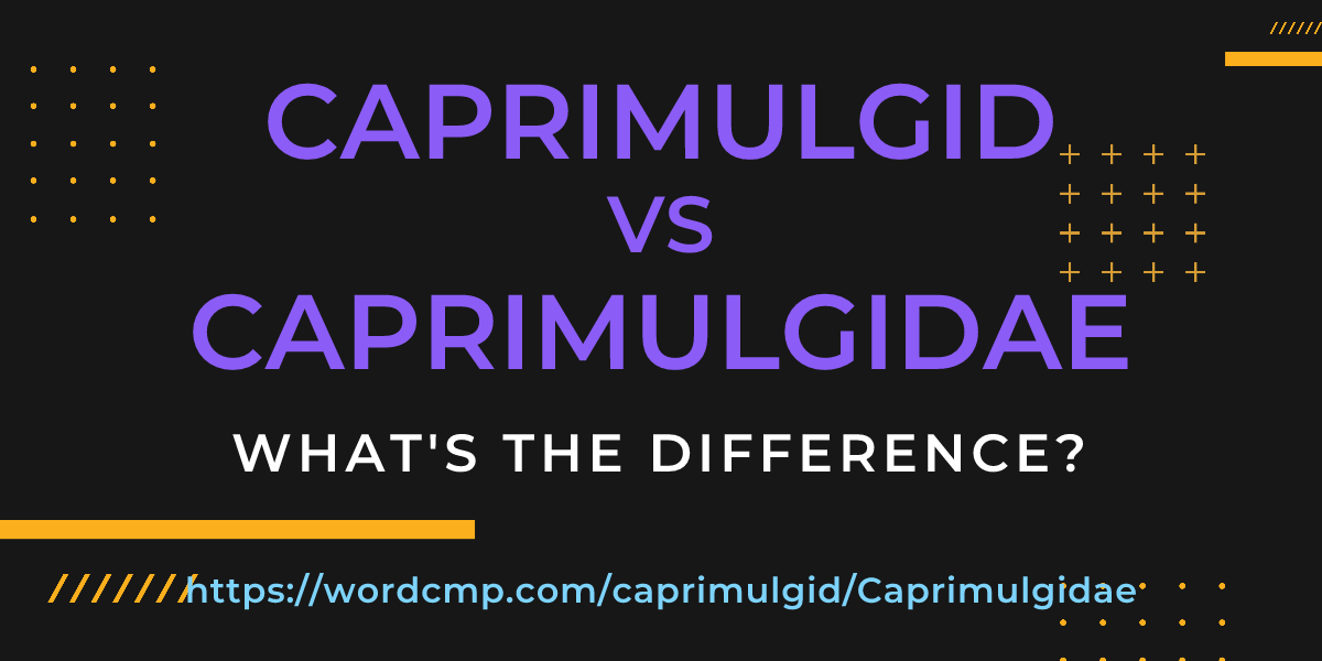 Difference between caprimulgid and Caprimulgidae