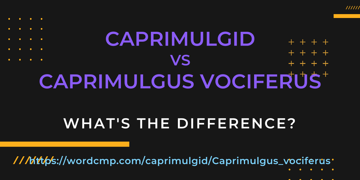 Difference between caprimulgid and Caprimulgus vociferus