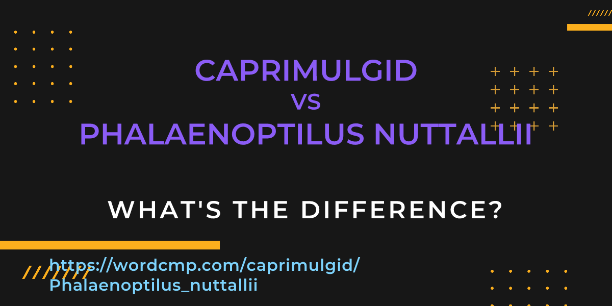 Difference between caprimulgid and Phalaenoptilus nuttallii