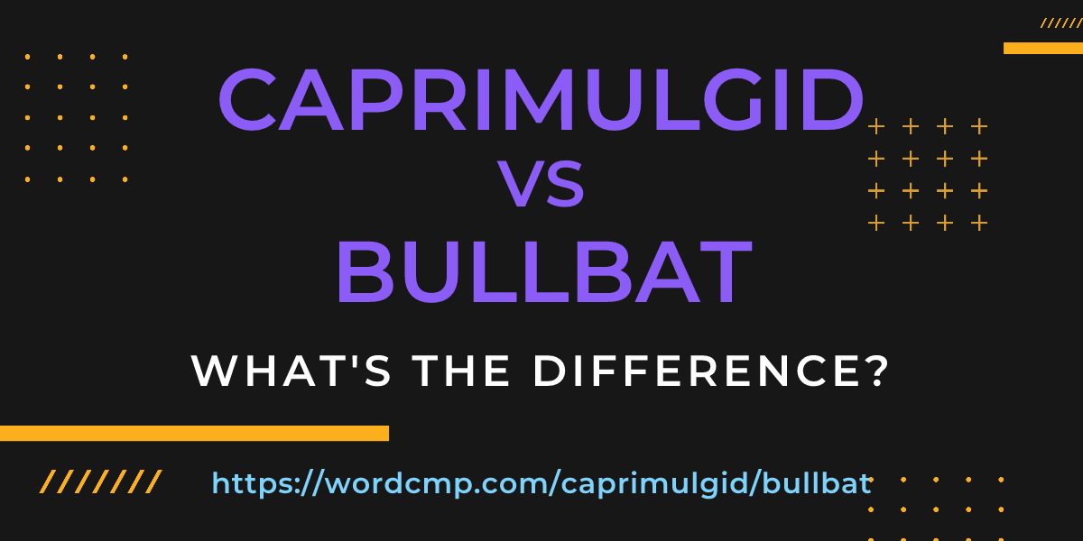 Difference between caprimulgid and bullbat