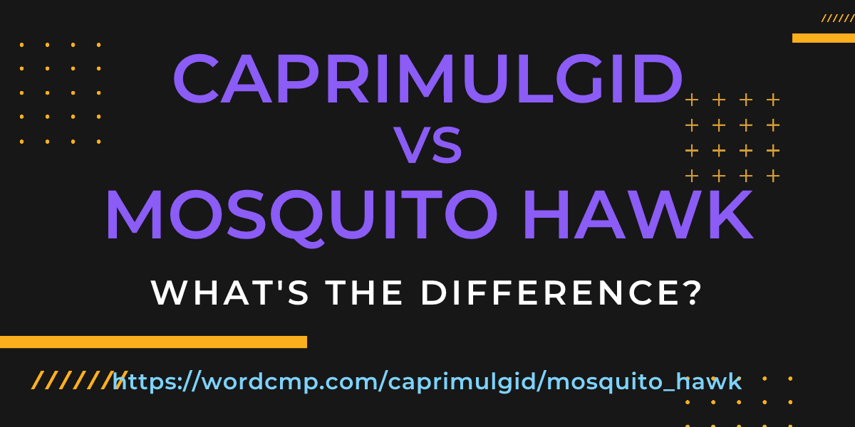 Difference between caprimulgid and mosquito hawk