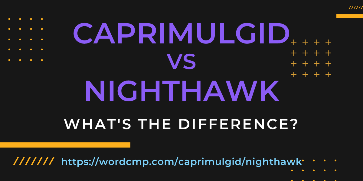 Difference between caprimulgid and nighthawk