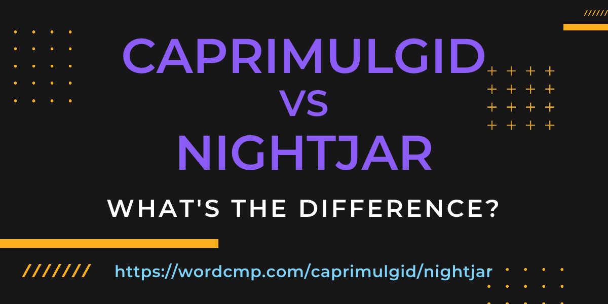 Difference between caprimulgid and nightjar