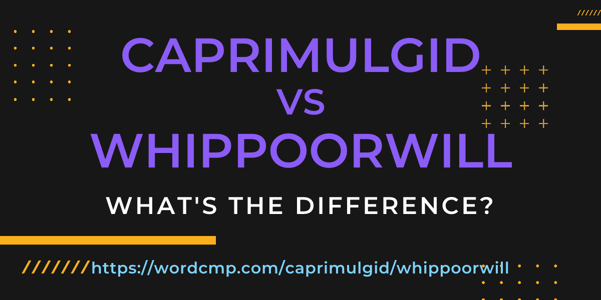 Difference between caprimulgid and whippoorwill