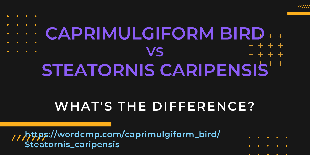 Difference between caprimulgiform bird and Steatornis caripensis