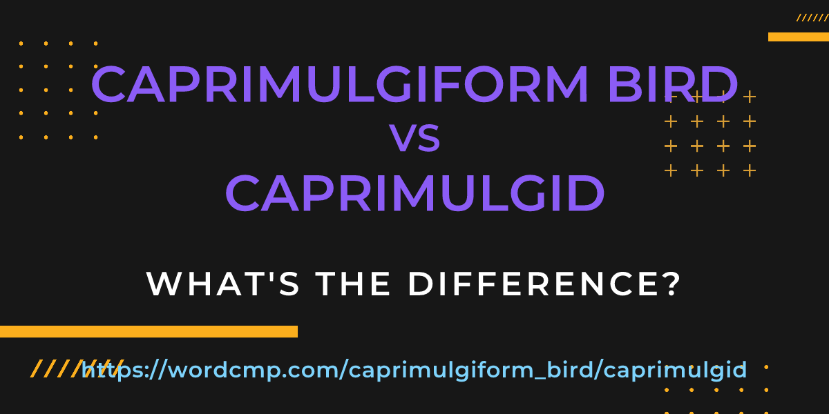 Difference between caprimulgiform bird and caprimulgid