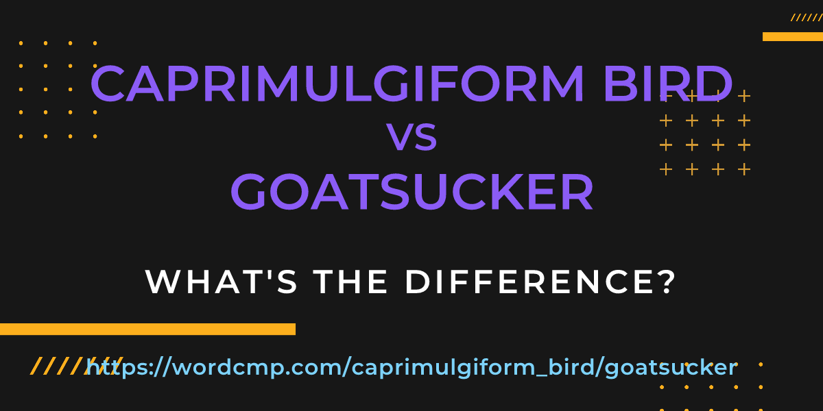 Difference between caprimulgiform bird and goatsucker