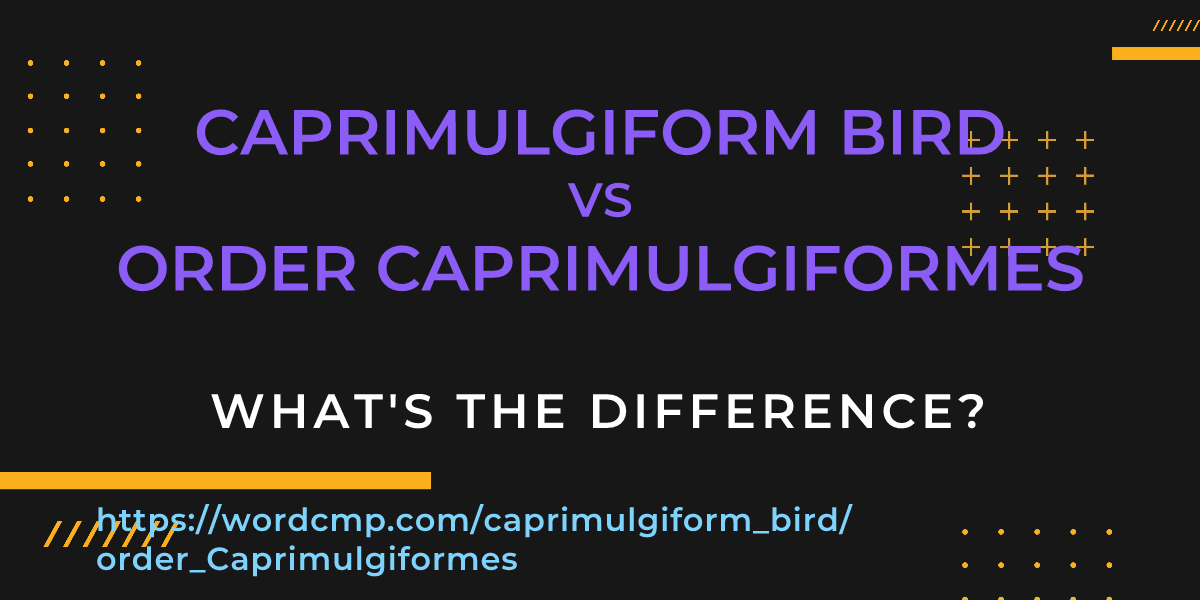 Difference between caprimulgiform bird and order Caprimulgiformes