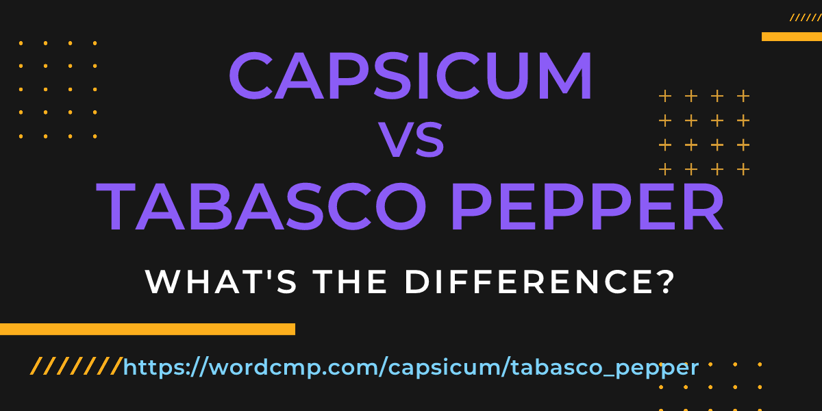 Difference between capsicum and tabasco pepper