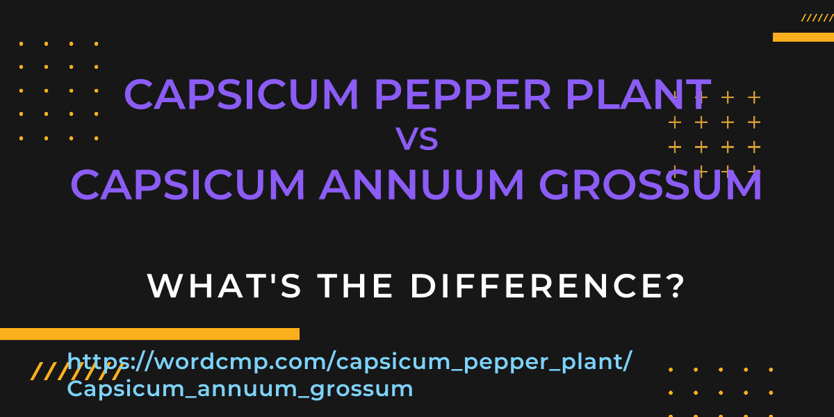 Difference between capsicum pepper plant and Capsicum annuum grossum