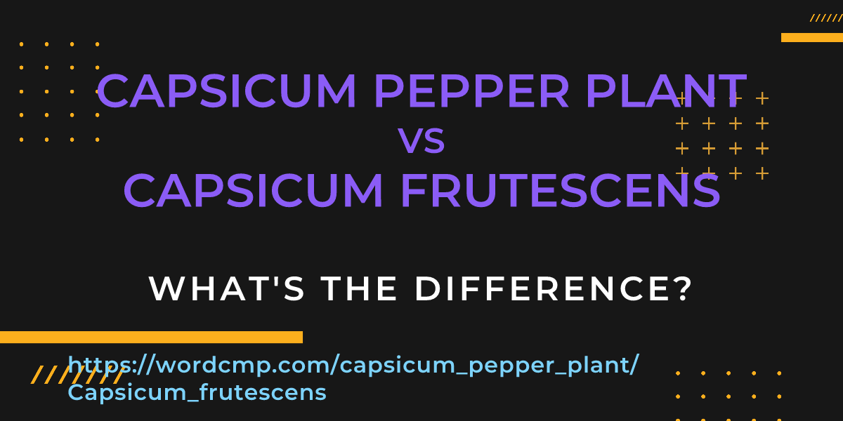 Difference between capsicum pepper plant and Capsicum frutescens