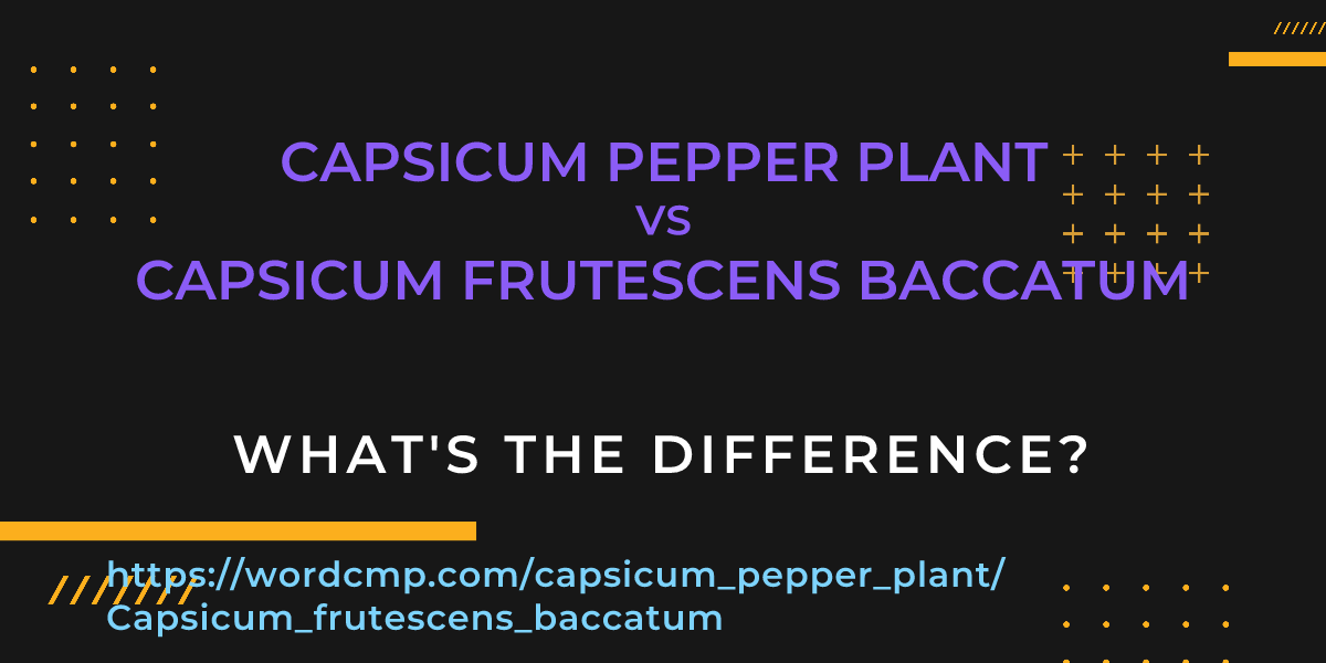 Difference between capsicum pepper plant and Capsicum frutescens baccatum