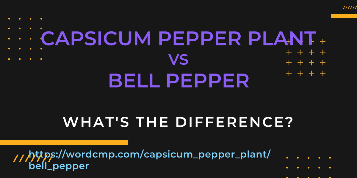 Difference between capsicum pepper plant and bell pepper
