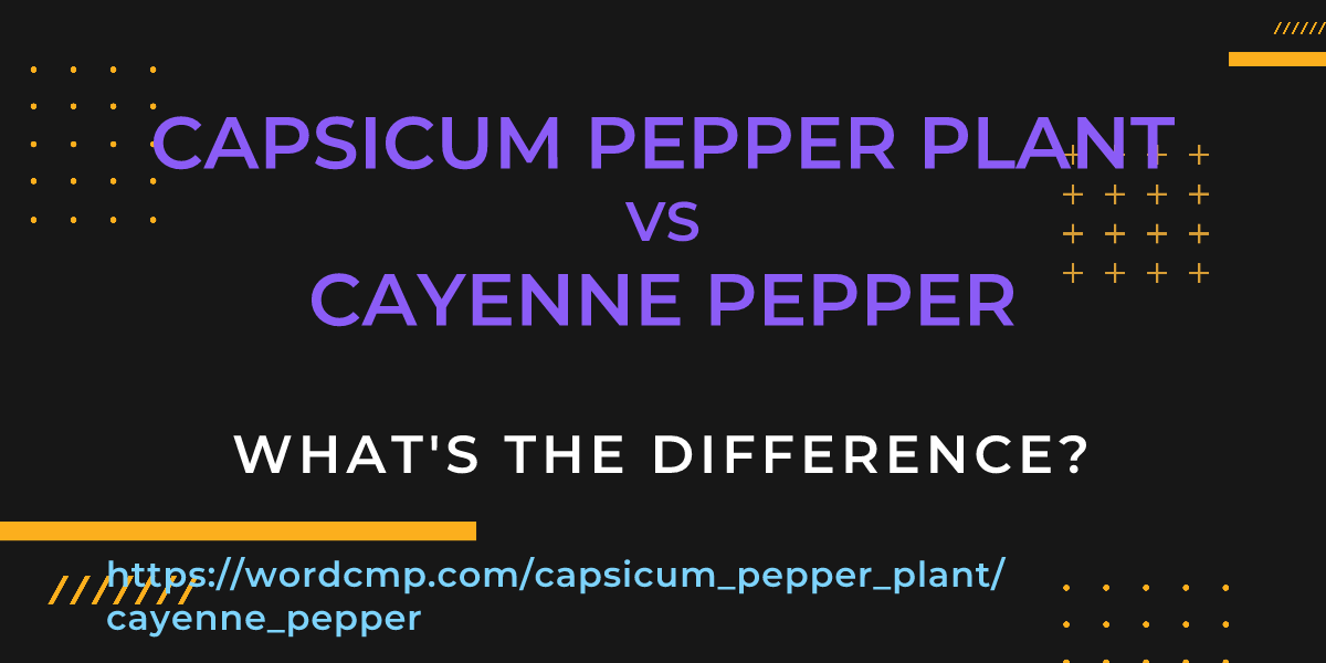 Difference between capsicum pepper plant and cayenne pepper