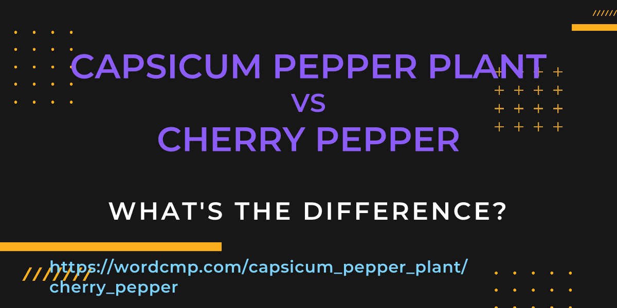 Difference between capsicum pepper plant and cherry pepper