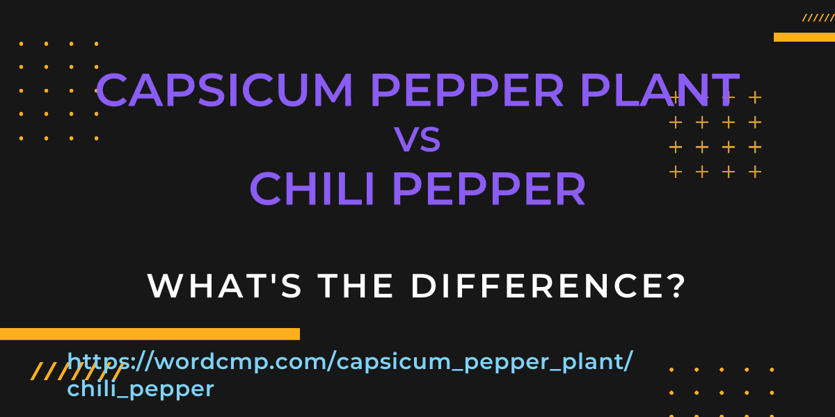 Difference between capsicum pepper plant and chili pepper