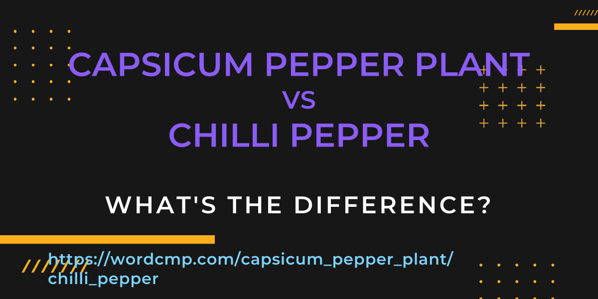 Difference between capsicum pepper plant and chilli pepper